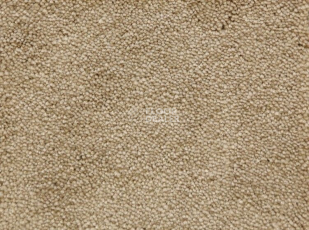 Ковролин Radici Lord Beige 126A фото 1 | FLOORDEALER
